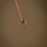 Spomb XD Shockleader 40lb 50m